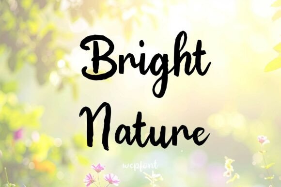 Bright Nature: A Script Font Designed for Digital Connection