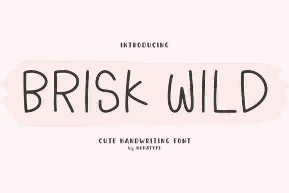 Brisk Wild: A Soft, Friendly Font for Digital Craftsmanship